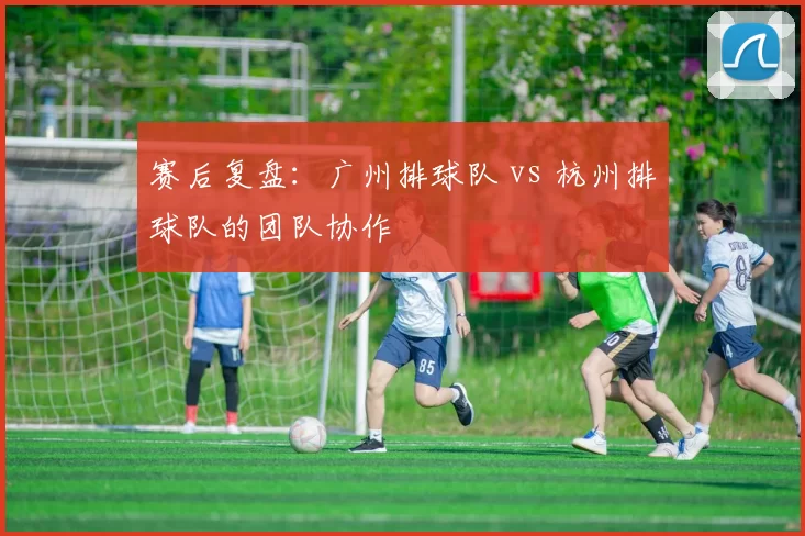 赛后复盘：广州排球队 vs 杭州排球队的团队协作