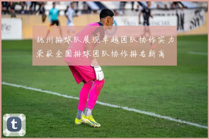 杭州排球队展现卓越团队协作实力荣获全国排球团队协作排名新高