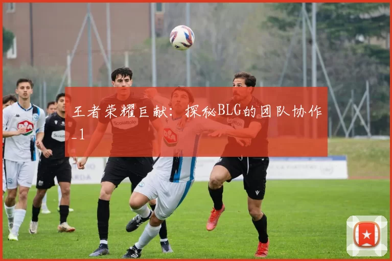 王者荣耀巨献：探秘BLG的团队协作_1