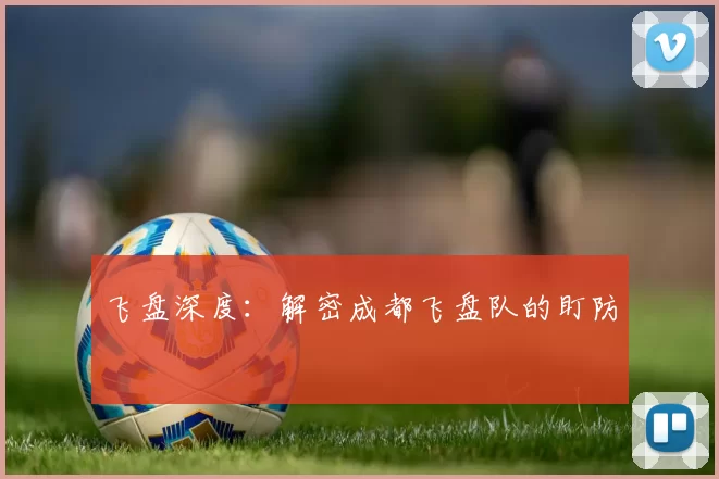 飞盘深度：解密成都飞盘队的盯防