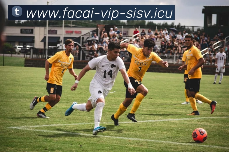 MK体育平台生态图