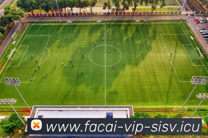 MK体育APP 封面图